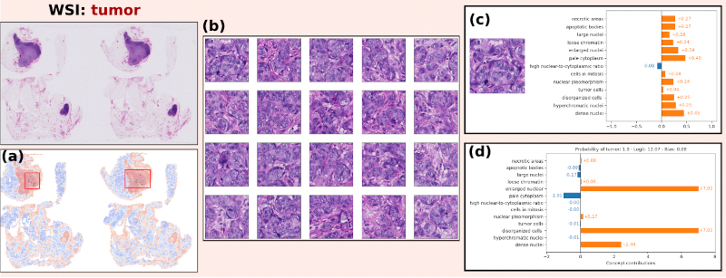Label-free concept based multiple instance learning for gigapixel histopathology